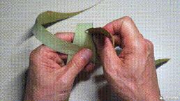 桑植金桥粽叶收购,桑植金桥粽叶加工,桑植金桥粽叶销售,桑植金桥粽叶 桑植金桥粽叶收购,桑植金桥粽叶加工,桑植金桥粽叶销售,桑植金桥粽叶