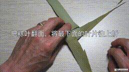 桑植金桥粽叶收购,桑植金桥粽叶加工,桑植金桥粽叶销售,桑植金桥粽叶 桑植金桥粽叶收购,桑植金桥粽叶加工,桑植金桥粽叶销售,桑植金桥粽叶