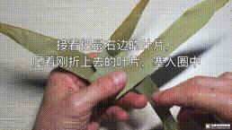 桑植金桥粽叶收购,桑植金桥粽叶加工,桑植金桥粽叶销售,桑植金桥粽叶 桑植金桥粽叶收购,桑植金桥粽叶加工,桑植金桥粽叶销售,桑植金桥粽叶